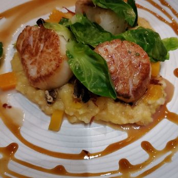 OLIVIA - Scallops - Italian Near Me - Tampa, Florida OLIVIA - Scallops - Italian Near Me - Tampa, Florida