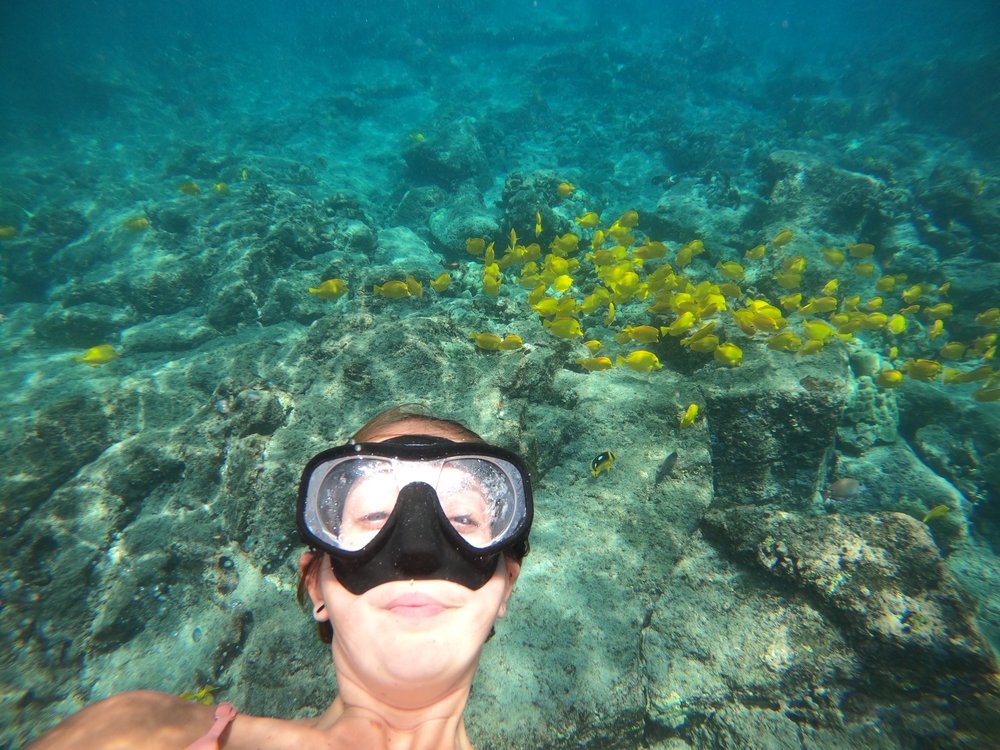 PRESCRIPTION DIVE MASKS 29 Reviews 8874 La Mesa Blvd, La Mesa