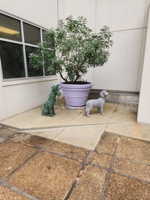 Methodist Hospital by null