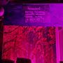 Photo of filmkunstbar fitzcarraldo