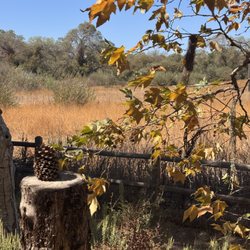 Santa Ynez Valley Botanic Garden