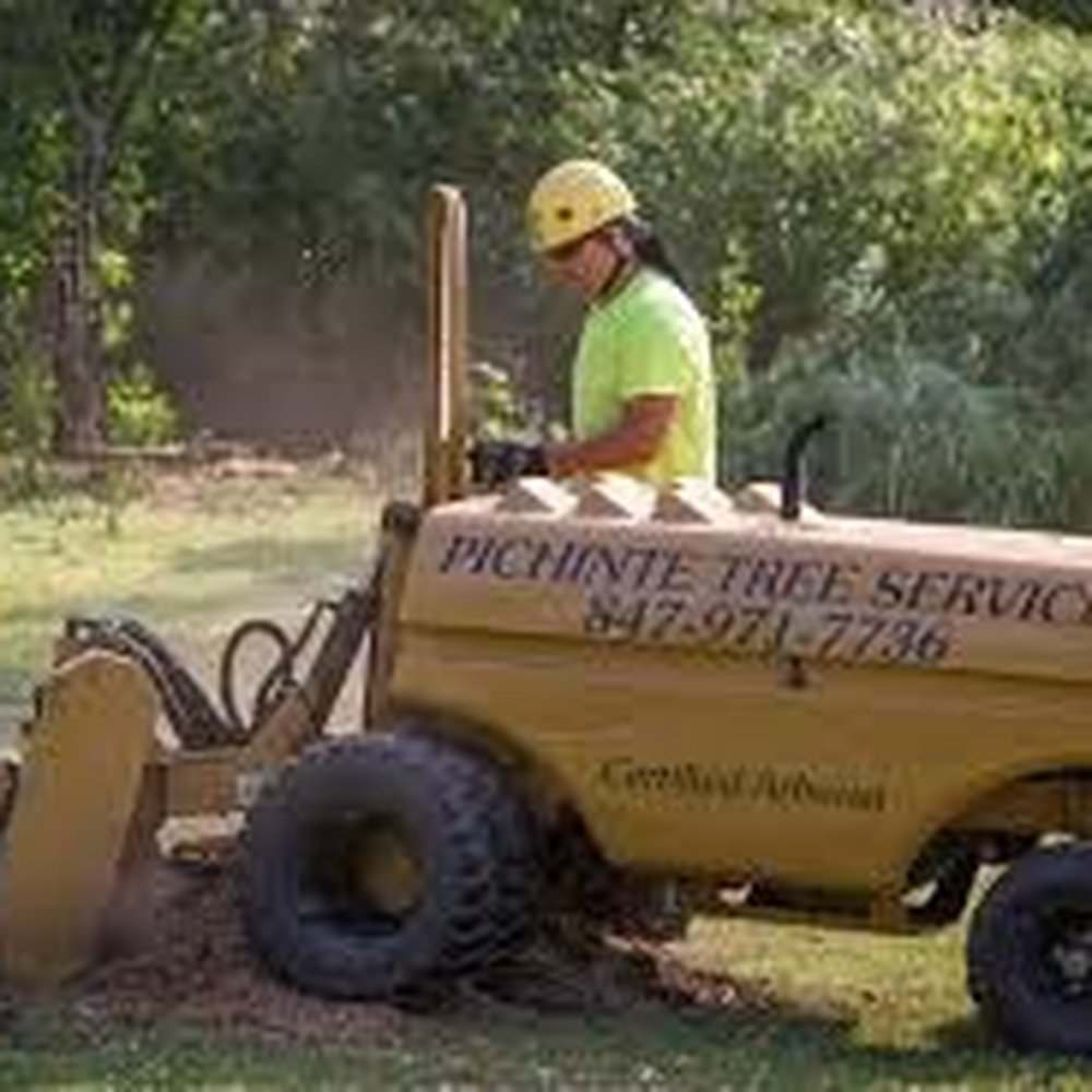 Pichinte Tree Services - Tree Services Near Me - Waukegan, Illinois Pichinte Tree Services - Tree Services Near Me - Waukegan, Illinois