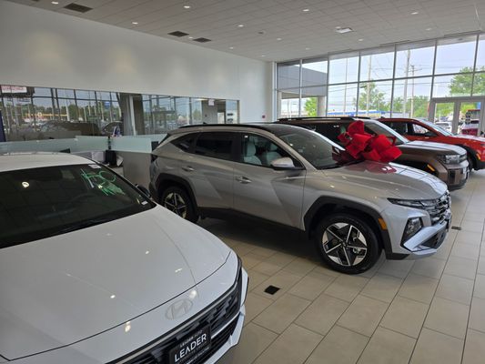 Exciting Hyundai Dealer In Palatine Il Pictures