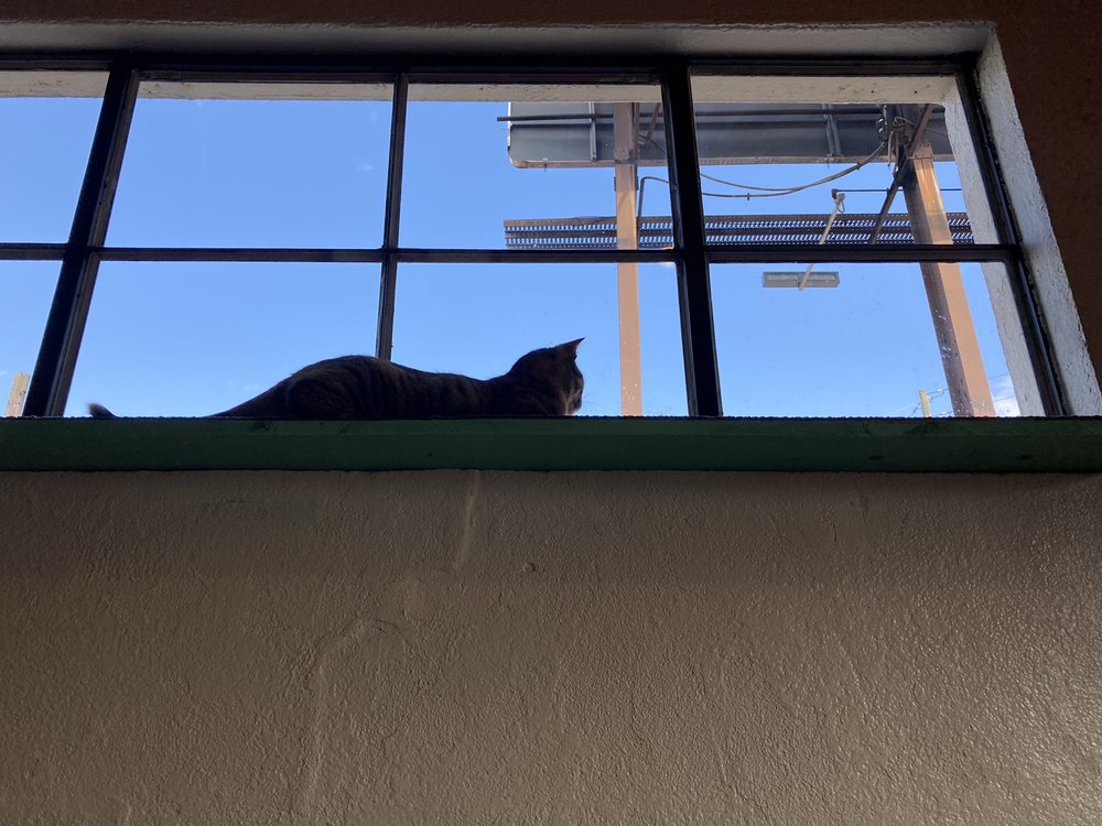 Great perspective! Yelp