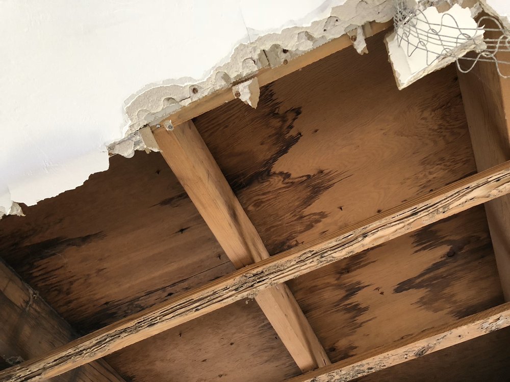 FRASER PROPERTY AND ADJUSTING Updated September 2024 10 Photos