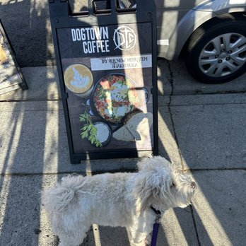 Dogtown Coffee - Delicious Shakshouka - Coffee & Tea Near Me - Santa Monica, California Dogtown Coffee - Delicious Shakshouka - Coffee & Tea Near Me - Santa Monica, California
