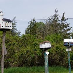 Birdhouse City