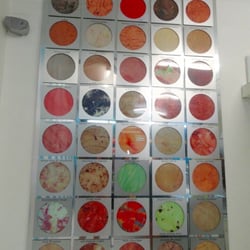 Terrigal Ice Creamery - 40 ice cream flavors! How can 1 decide?!