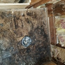 Bye Bye Mold - Shower pan leak mold