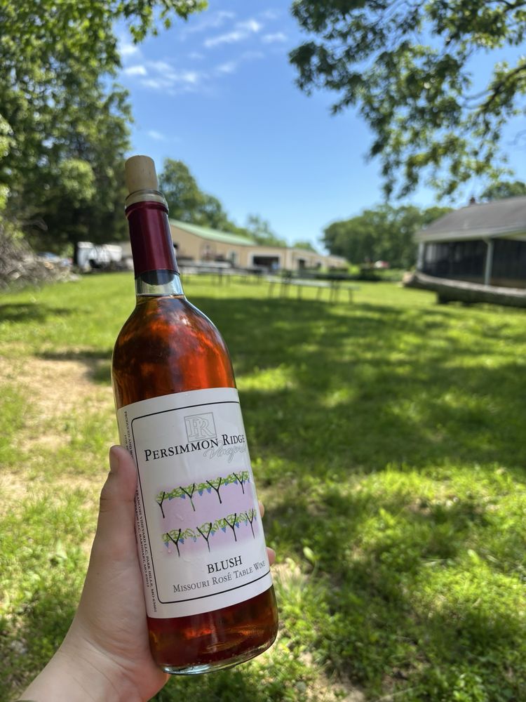 Persimmon Ridge Vineyards - vineyard in Barnhart, MO