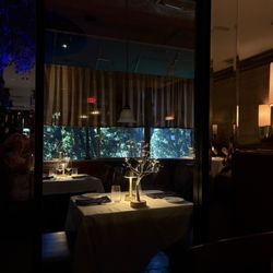 Foxy’s Kitchen + Bar