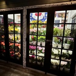 Blooms Florist & Flower Delivery