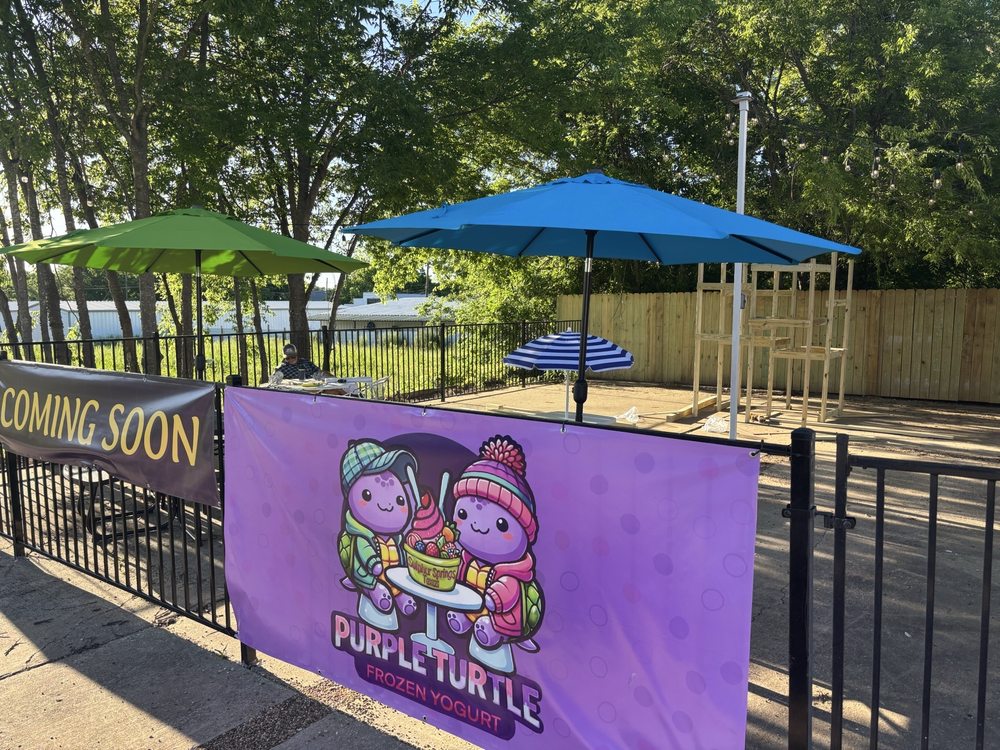 Purple Turtle Frozen Yogurt Logo