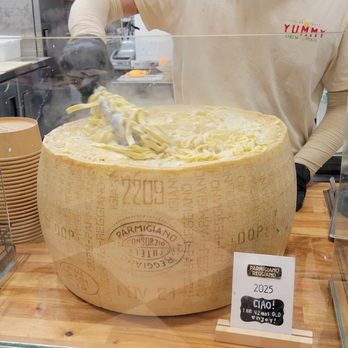 Yummy Cheese Pasta - Fettuccine Alfredo, tossed for extra cheesiness - Pasta Shops Near Me - New York, New York Yummy Cheese Pasta - Fettuccine Alfredo, tossed for extra cheesiness - Pasta Shops Near Me - New York, New York