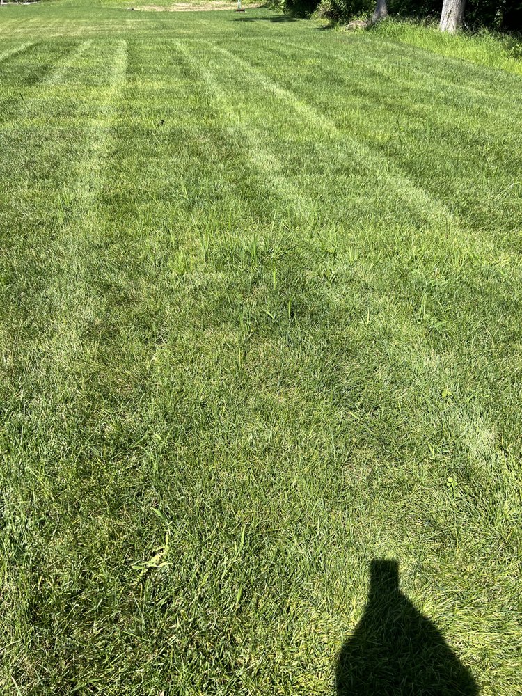 LAWN POPPER’S Updated August 2024 13 Photos 9029 Dewitt Dr