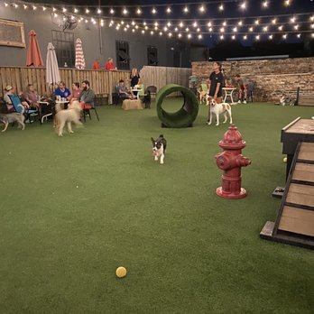 HopHounds - dog chasing a tennis ball - Dog Parks Near Me - Mobile, Alabama HopHounds - dog chasing a tennis ball - Dog Parks Near Me - Mobile, Alabama