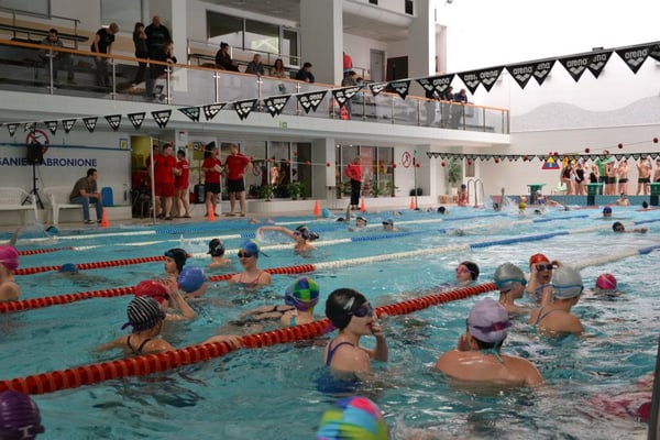 Indoor swimming pool Sports and Recreation by null