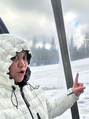 Alpine Slide at Magic Mountain by null