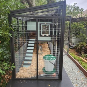 For The Birds CC - Side shot of the Chicken castle. - Pet Services Near Me For The Birds CC - Side shot of the Chicken castle. - Pet Services Near Me
