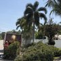 Photo of EBM Property Maintenance