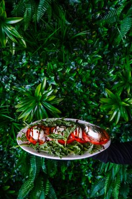 Vida Verde Kitchen by null