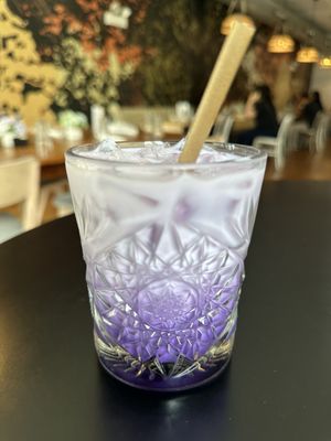 Cebu Chicago by null