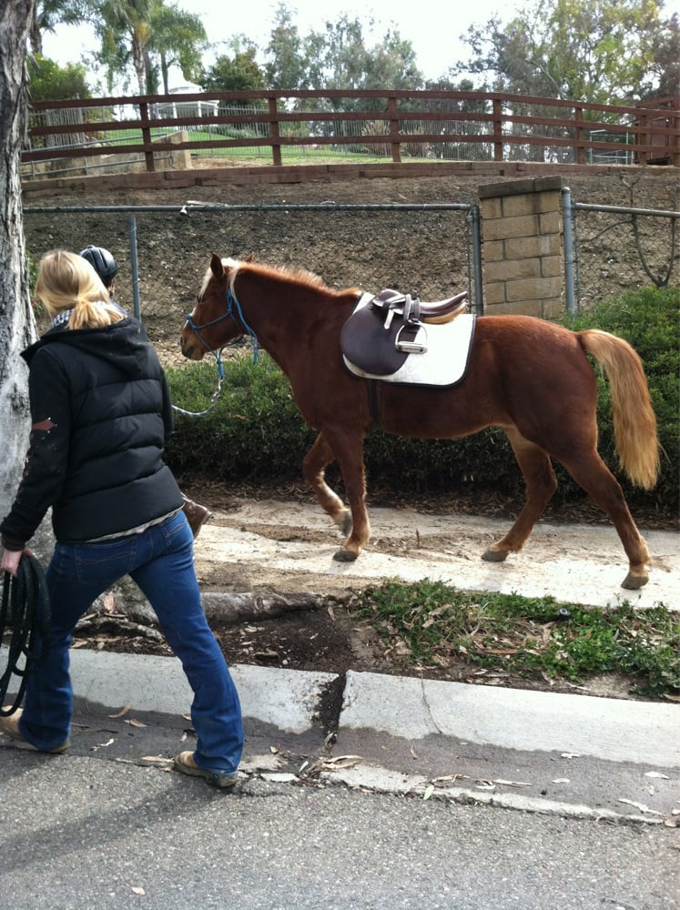 NELLIE GAIL RANCH EQUESTRIAN CENTER Updated September 2024 25202