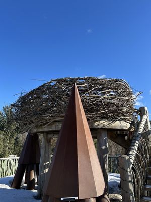 The Wild Center by null