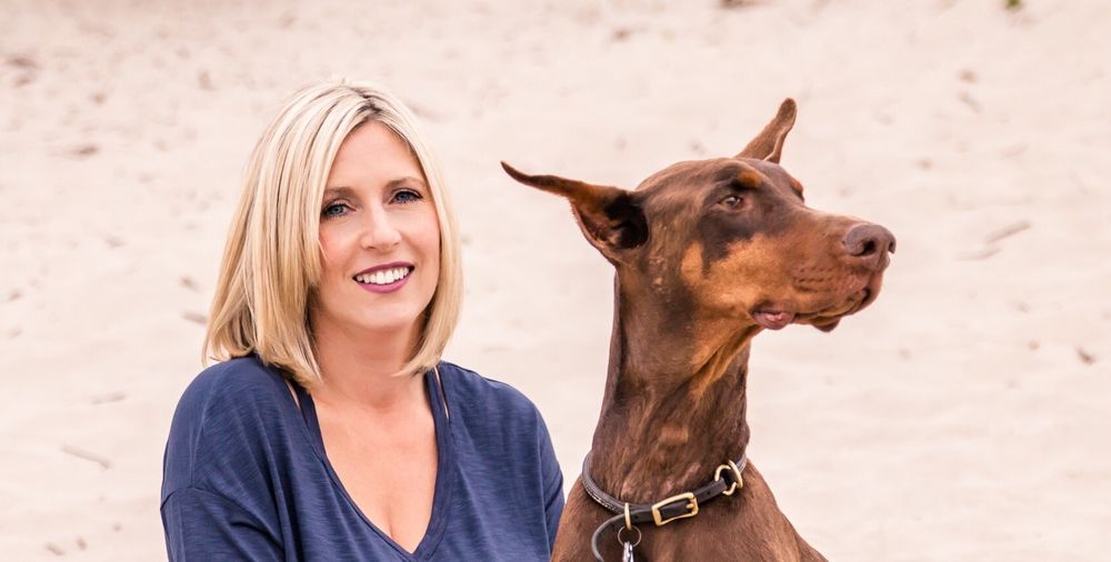 THE DAILY DOG Updated August 2024 145 Photos 695 Ocean St