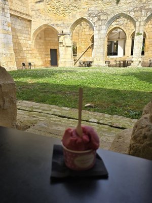 Cloître des Cordeliers by null