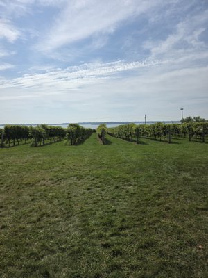 The Winery at Sovereign Estate by null