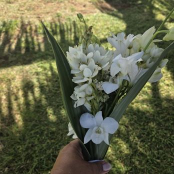 Beretania Florist - Small bouquet for elopement. Quality was perfect and flowers lasted for days after. - Florists Near Me - Honolulu, Hawaii Beretania Florist - Small bouquet for elopement. Quality was perfect and flowers lasted for days after. - Florists Near Me - Honolulu, Hawaii