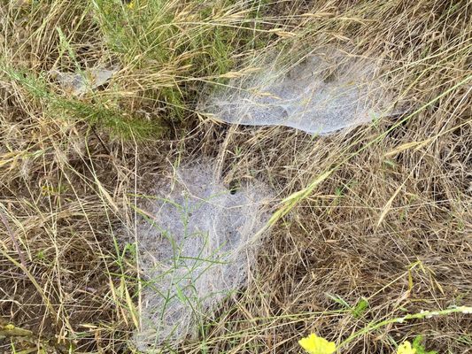 Solstice Canyon by null