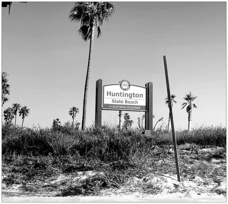 Huntington State Beach by null