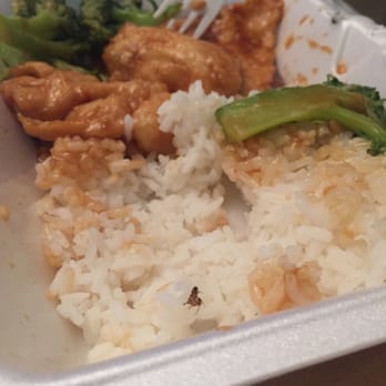 China Express - Crispy cockroach: eat at you town risk - Chinese Near Me - Brooklyn, New York