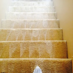 Green Steam Carpet Cleaners