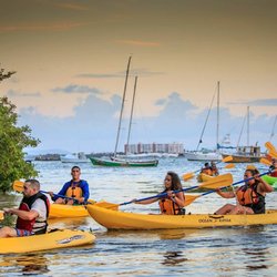 Puerto Rico Access Eco Tours