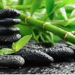 Pure Zen Mobile Massage