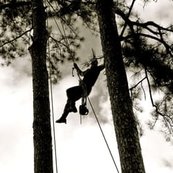 Spanner Tree & Shrub Care