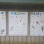 Photo of Milliken Mills Trails
