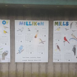Milliken Mills Trails - Birds of Millekin Mills