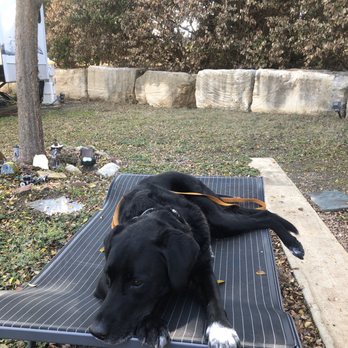 K911! - In place command and instead of panting and being nervous, I'm just chillin out. - Pet Training Near Me