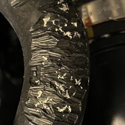 Lundgren Honda Of Auburn - Hose chewed by mice.