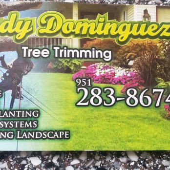 Rudy Dominguez Tree Trimming Services - Tree Services Near Me Rudy Dominguez Tree Trimming Services - Tree Services Near Me