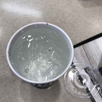 El Pollo Loco - Found some in wanted friends in my drink and they didn't do anything about it - Mexican Near Me - Richmond, California El Pollo Loco - Found some in wanted friends in my drink and they didn't do anything about it - Mexican Near Me - Richmond, California