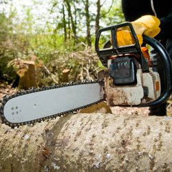 Boylans Tree Service