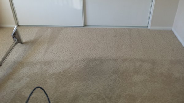 Carpet Cleaning - Carpet Cleaning