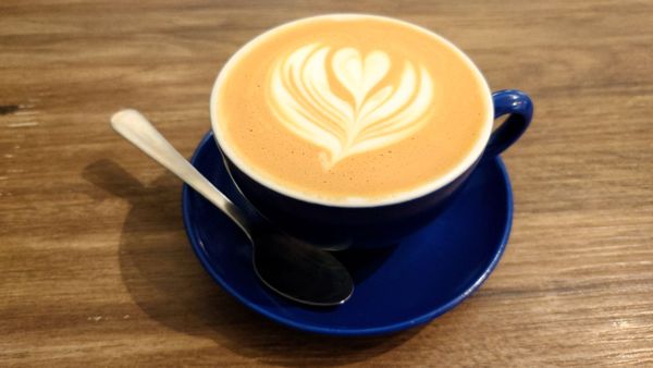 The Clue-less Goat by null