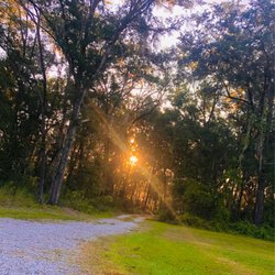 Citrus Springs - #sundaymood
