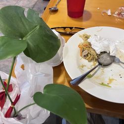 Maki-San - Vegetable Mei fun and Madaru Monstera coming home